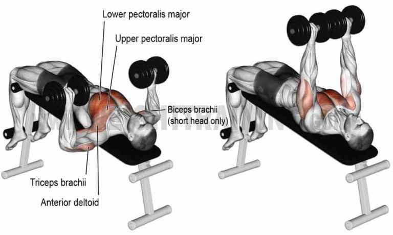 Dumbell Press Nas l Yap l r Faydalar Nelerdir
