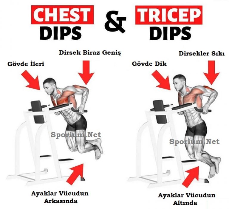 Dips Nasıl Yapılır? Faydaları Nelerdir?