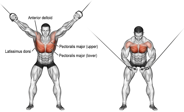 how-to-cable-crossover-exercise-what-are-the-benefits