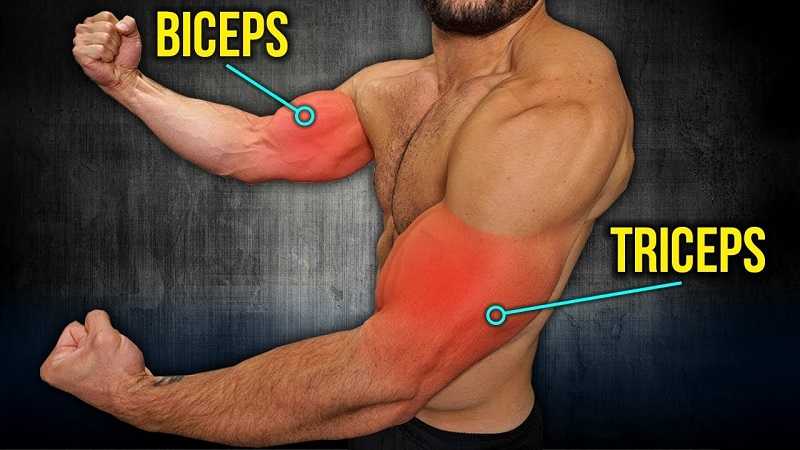 kol kaslarını güçlendiren hareketler